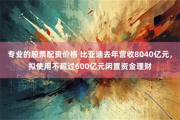 专业的股票配资价格 比亚迪去年营收8040亿元,拟使用不超过600亿元闲置资金理财